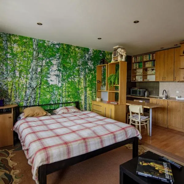Apartmán Brezy, hotel in Martinske Hole