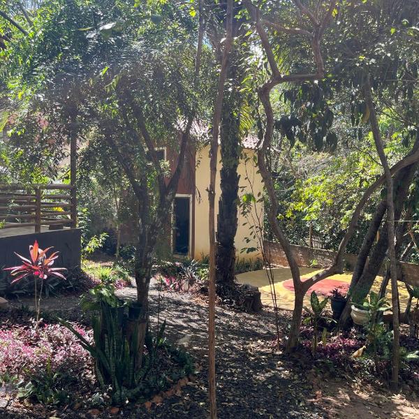 Casa Néctar Madeira