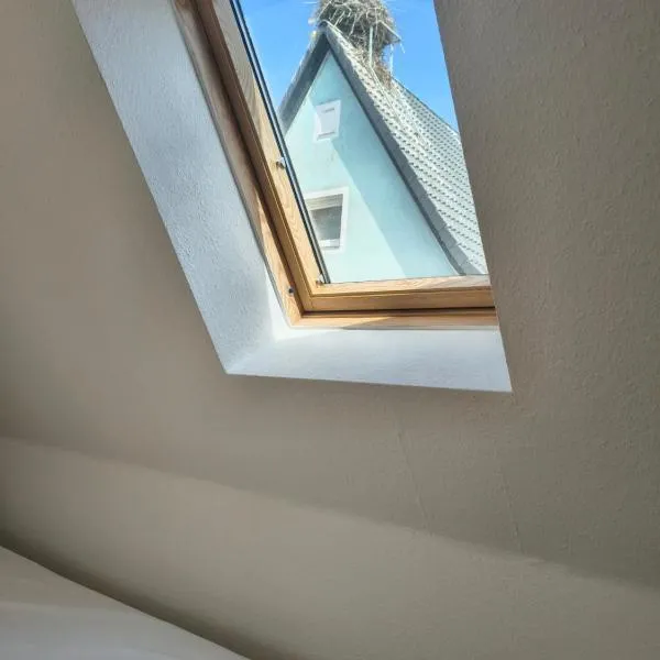 Vodita, hotel en Höchstadt an der Aisch