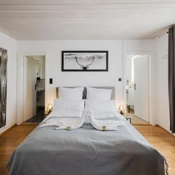 Danube Rooms Abteistrasse - Self Checkin - Moderne Wohnungen - Ideal für Geschäftsreisende und Städtetrips, готель у місті Пассау