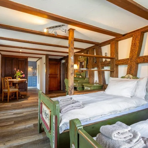 Charming Swiss Lake View studio apartment, hotell sihtkohas Wädenswil