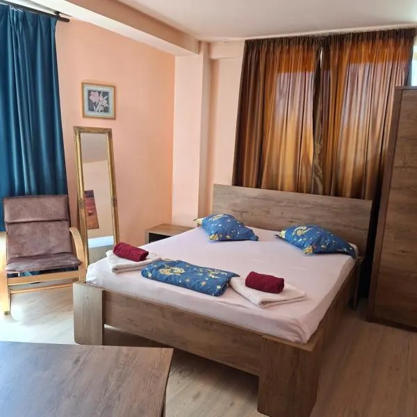 Pensiunea Nicol Tulcea, hotel in Tulcea