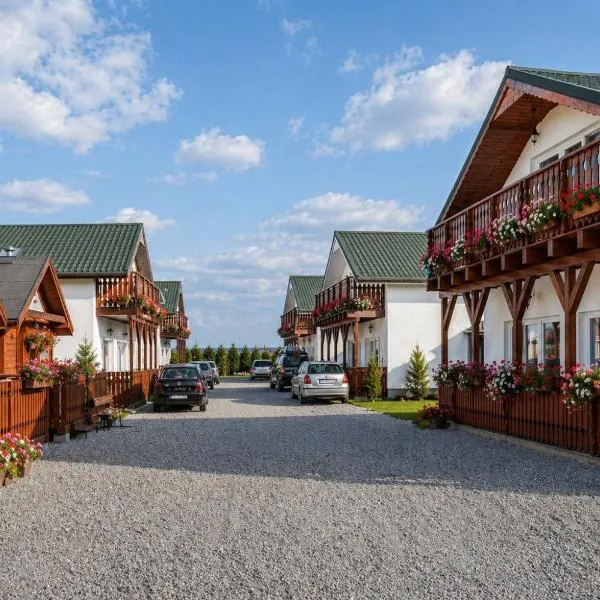 O.S.W. WICIE, hotel din Wicie