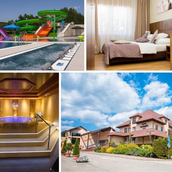 Hotel Ostaniec, отель в городе Крочице