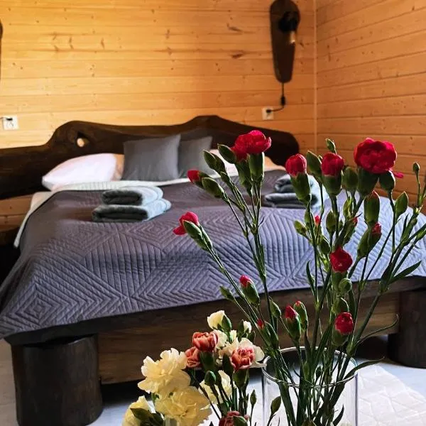 Apartament Pod Dębiną, hotel 