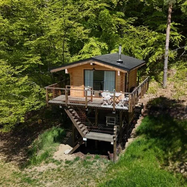 Treetop Tiny House Pod Korunami, hotel Felsőmicsinyén