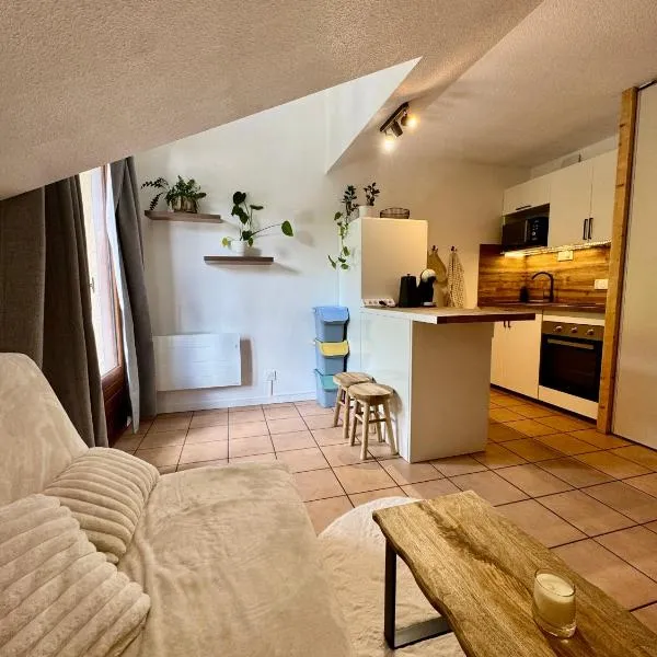 Au ptit Wimpy, T2 cosy plein centre, au pied du télécabine, hotel i Briançon