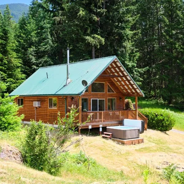 Mountain View Cabin, Hot Tub at White Pass Resort, Mt Rainier, hotel u gradu 'Packwood'