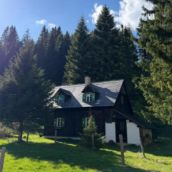 Almhütte am Steirischen Seeberg, hotelli kohteessa Turnau