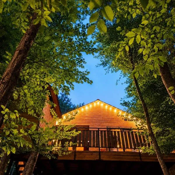 Tsʼkhvarichamia에 위치한 호텔 WoodLand Tskhvarichamia Private Cottage in Forest , 25 min from Tbilisi, Easy Access