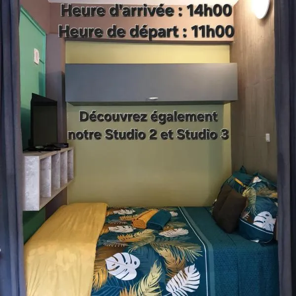 Le Bivouac du Maido studio 1, hotel in Le Guillaume