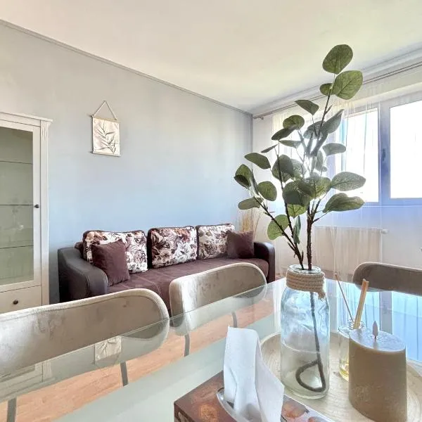 Cosy Modern Place, hótel í Satu Mare
