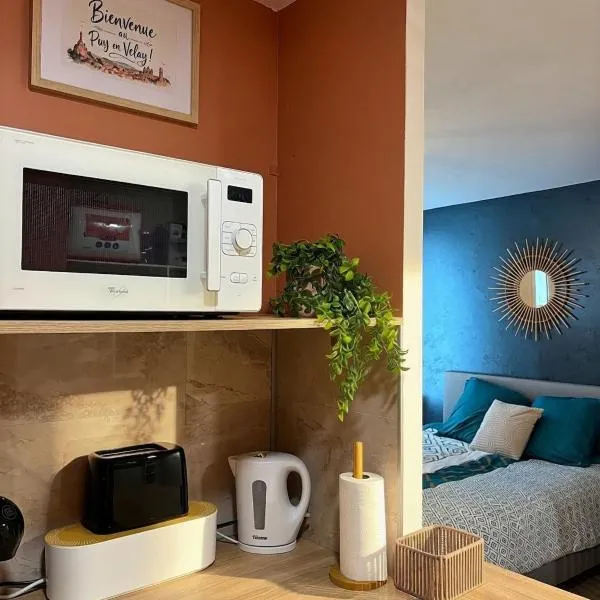 Appartement Grenouillit, hyper centre du Puy, hotel a Le Puy en Velay