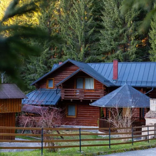 Alpine Chalet - Ski & Lake Belis, hotel Jósikafalván