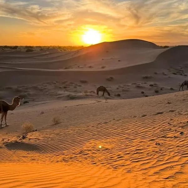 Mhamid में, होटल Sahara wild camping