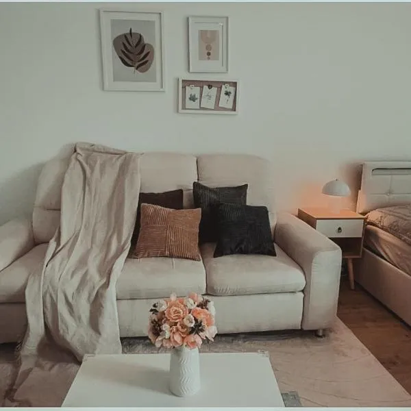 Cozy Modern City Apartment – hotel w Dreźnie