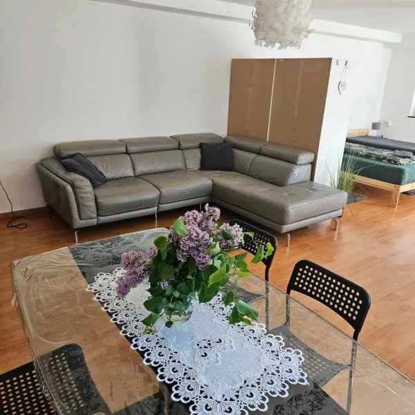 PREMIUM HOME, hotell i Busingen am Hochrhein