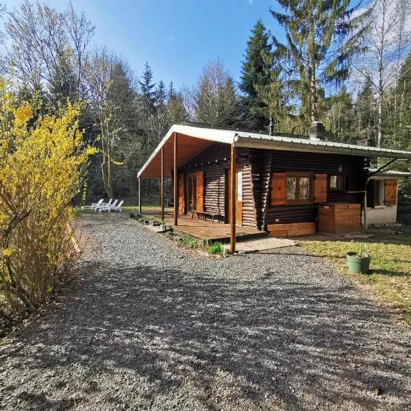 Deneuvre에 위치한 호텔 Chalet - gîte avec étang