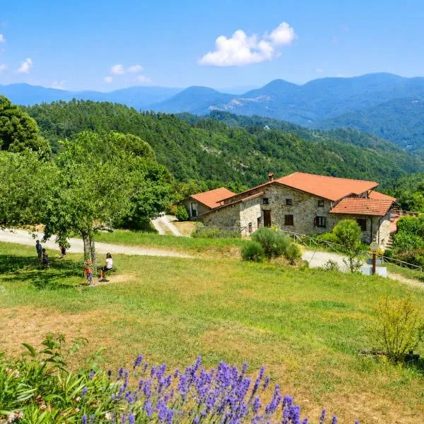 Agriturismo Giandriale, hotel Tavaronéban