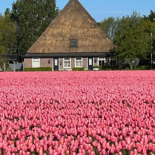 B&B Idylle aan Zee incl 2 Wellnessstudios، فندق في Sint Maartensvlotbrug
