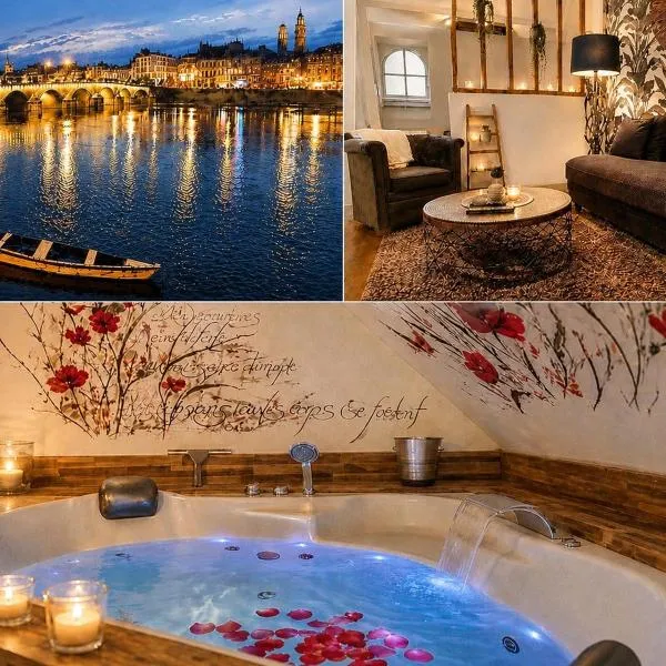 Séjour détente au cœur de MÂCON spa,ciné,bouteille offerte, Hotel in Mâcon