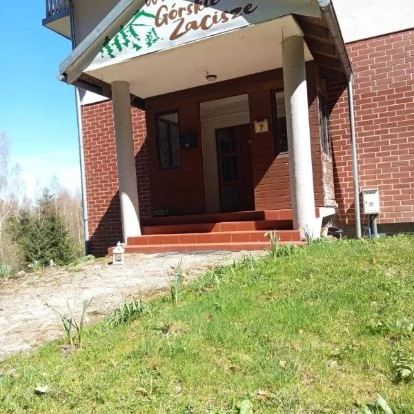 Willa Górskie Zacisze, hotel en Borowice