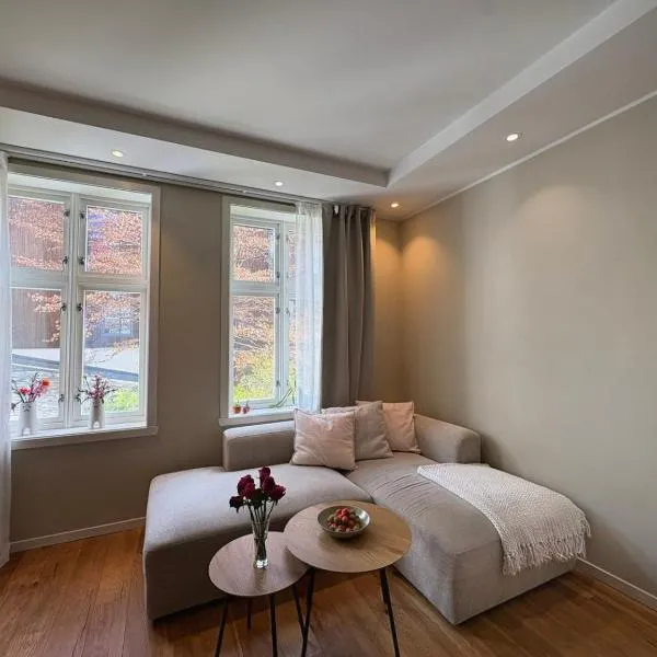 Super central and cozy apartment in Bergen, מלון בברגן