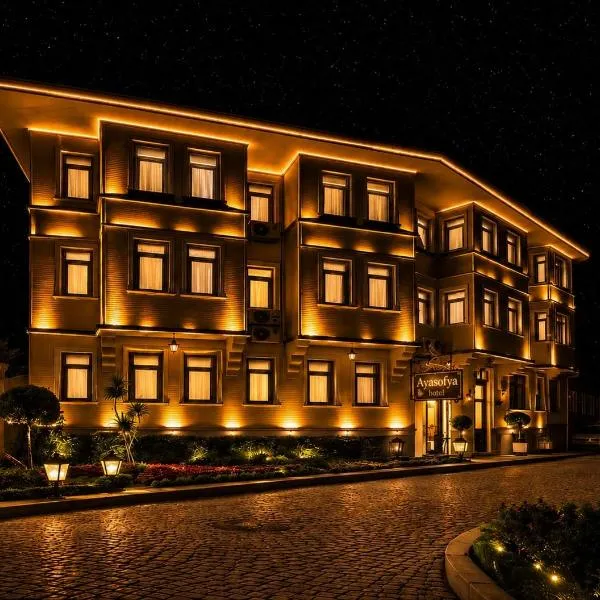 Ayasofya Hotel - Special Class, hotel in Istanbul