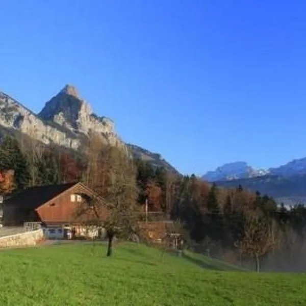 Apartment 2-Zimmerwohnung RIGI by Interhome, hotel di Seewen