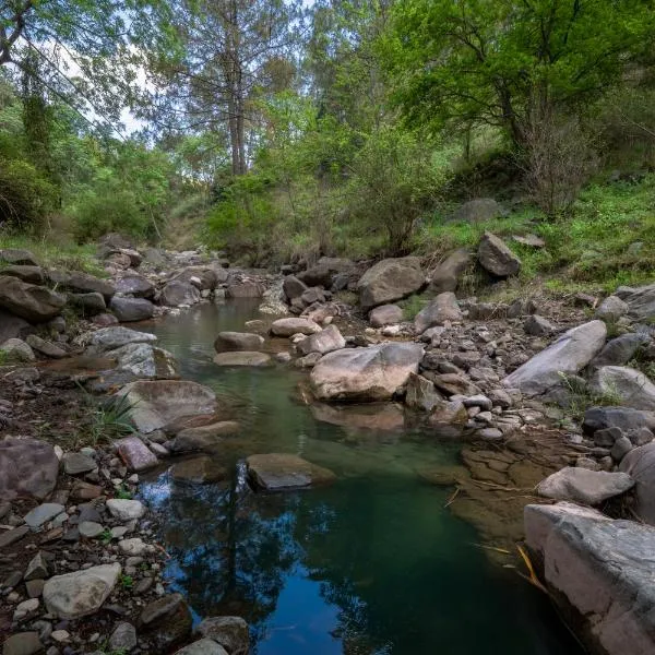River View Villa by Splendid Retreat Hotels, Hotel in Kasauli