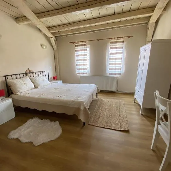 Fântânele Vacation Home, Charming Rustic Home, Hotel in Fîntînele