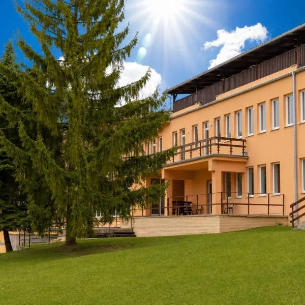 Hotel Hlboké, хотел в Бойнице