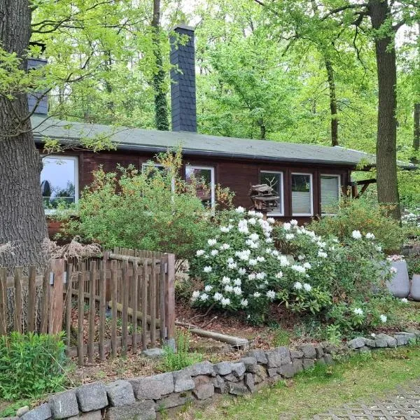 Bungalow am Wald, khách sạn ở Coswig