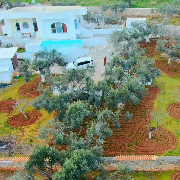 Villa Konaki, hotelli Grammatikossa