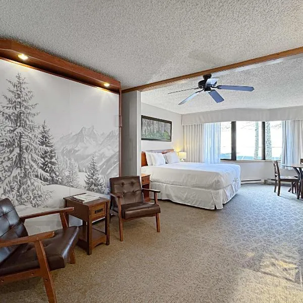 Studio 115 Perfect Location with Pool and Hot Tub, hotel v mestu Crested Butte