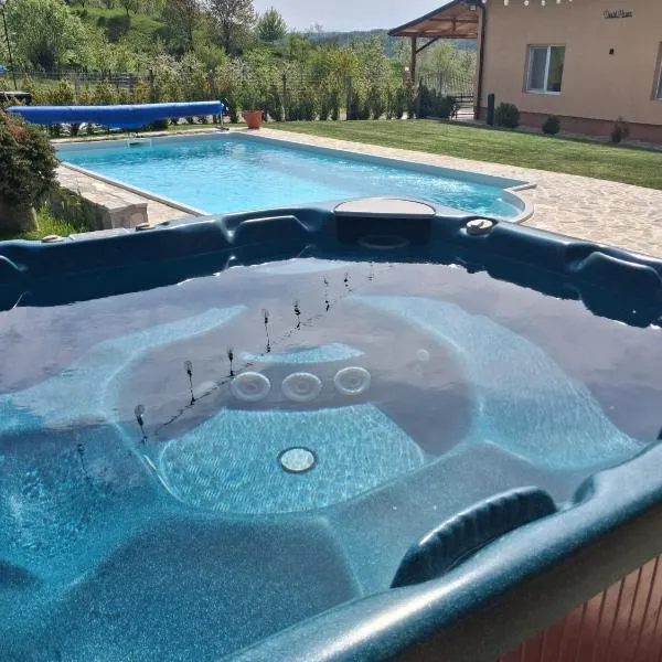 David House Piscina incalzita si jacuzzi، فندق في Pietrari