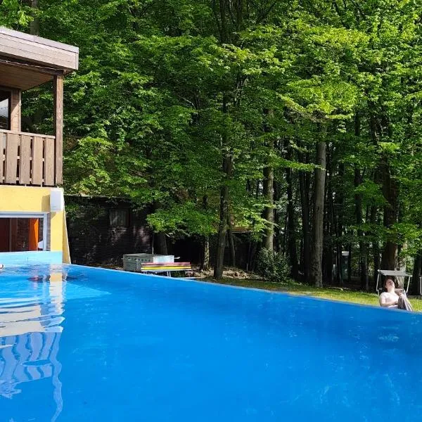 Darázshegyi Panzió és Faházak - Panzió épület, hotel u gradu 'Mátraszentimre'