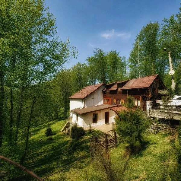 Chalet Nomad, Hotel in Petroşani