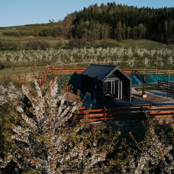 Pod skrzydłami anioła, hotel u gradu 'Łącko'