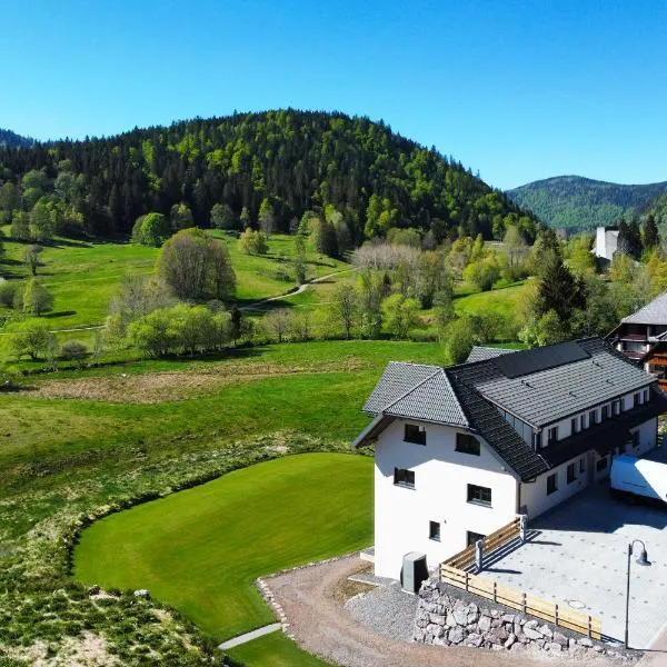 Forestum - Black Forest Luxury Apartments mit Sauna, hotel i Menzenschwand