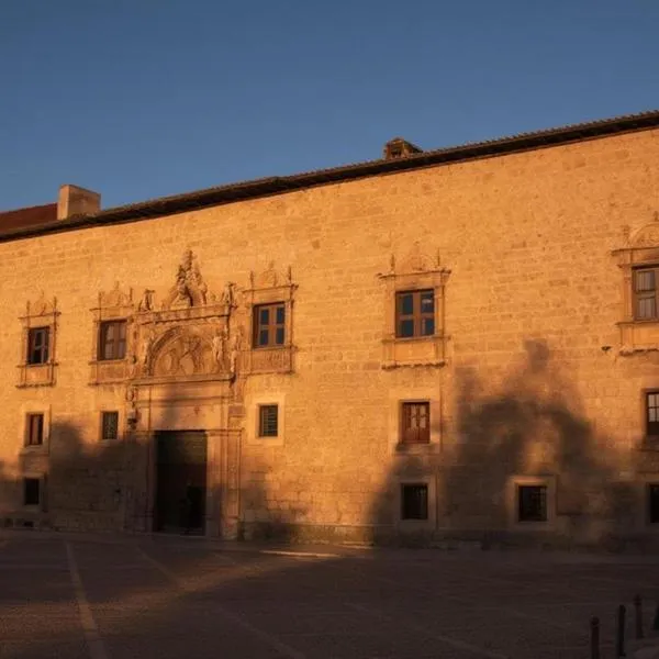 Castilla Termal Palacio de Avellaneda، فندق في بينياراندا دي دويرو