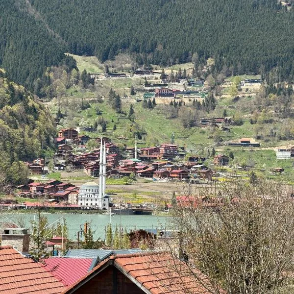 My Home Uzungöl, hôtel à Uzungöl