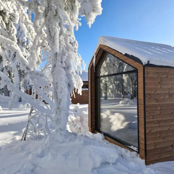 Arctic Nest Forest Cabin, hotell sihtkohas Kotila