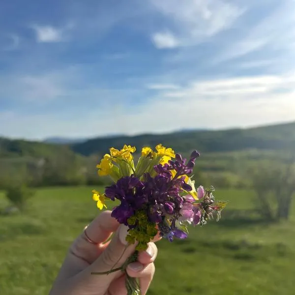 Vrba, hotel u gradu Gacko