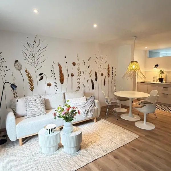 Fischer Finest Apartment am Frauenberg, hotell sihtkohas Fulda