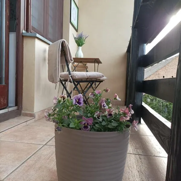 Levendula Apartman, hotel u gradu Bačka Topola