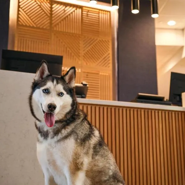 Hyatt Place Tampa Airport/Westshore, hotel u gradu 'Tampa'