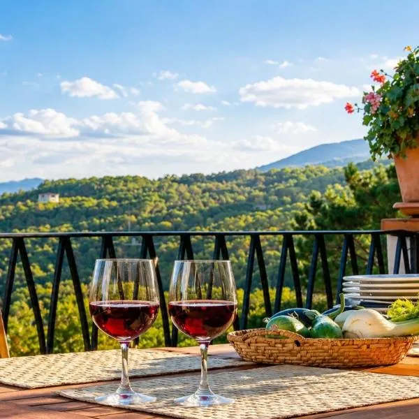 La Vignaredda - Residenza di Charme, hotell i Aggius