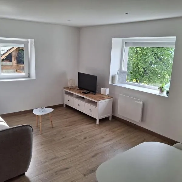 Appartement vue lac Léman, hotel Lugrinben