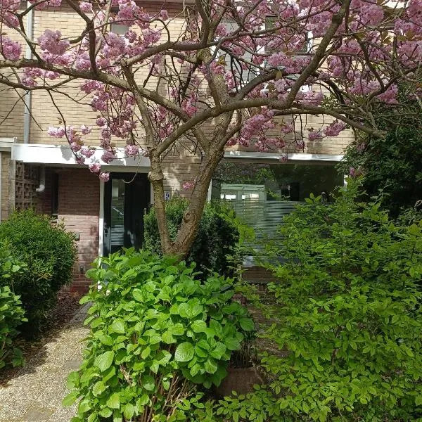 B&B Het Heusje, хотел в Заандам